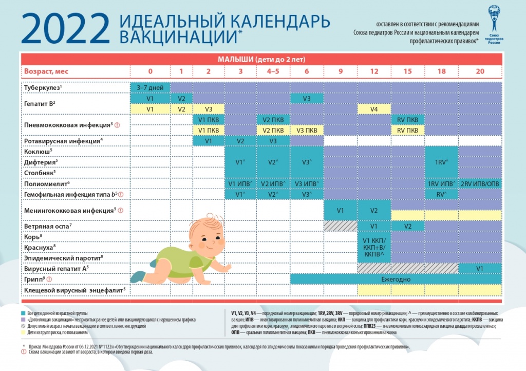 Национальный календарь прививок — КГБУЗ Норильская МДБ